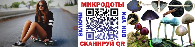 наркотики  Вязники  Псилоцибиновые грибы Psilocybe 